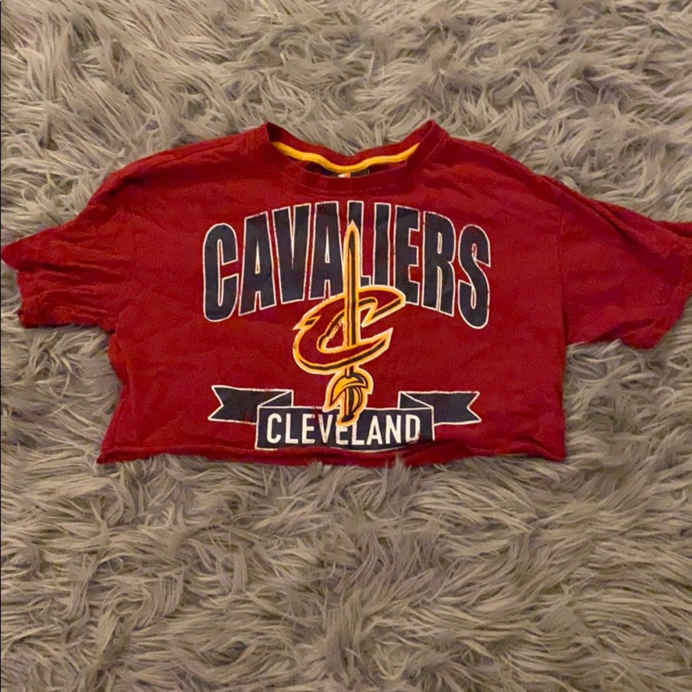 Cropped Cavaliers top
